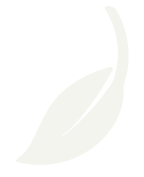 feuille-logo-jardiroche